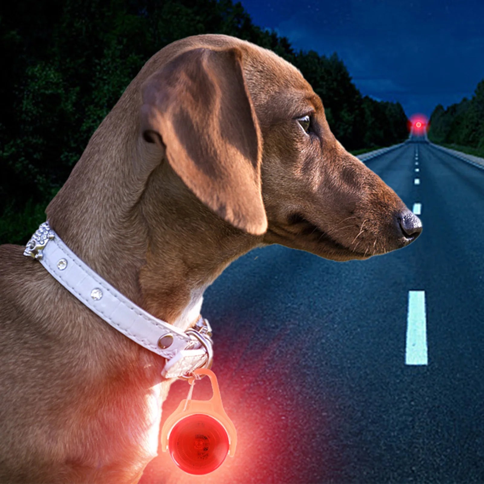 Dogs Lights for Night Walking Dogs Cats Collars Use LED Night Safety Light Adjustable Durable for Small Medium Large Dogs